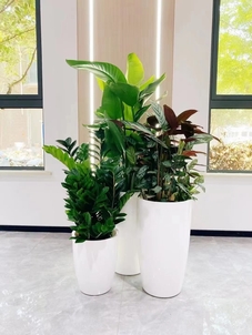 鄞州绿化修剪专业服务，扮靓家园每一处